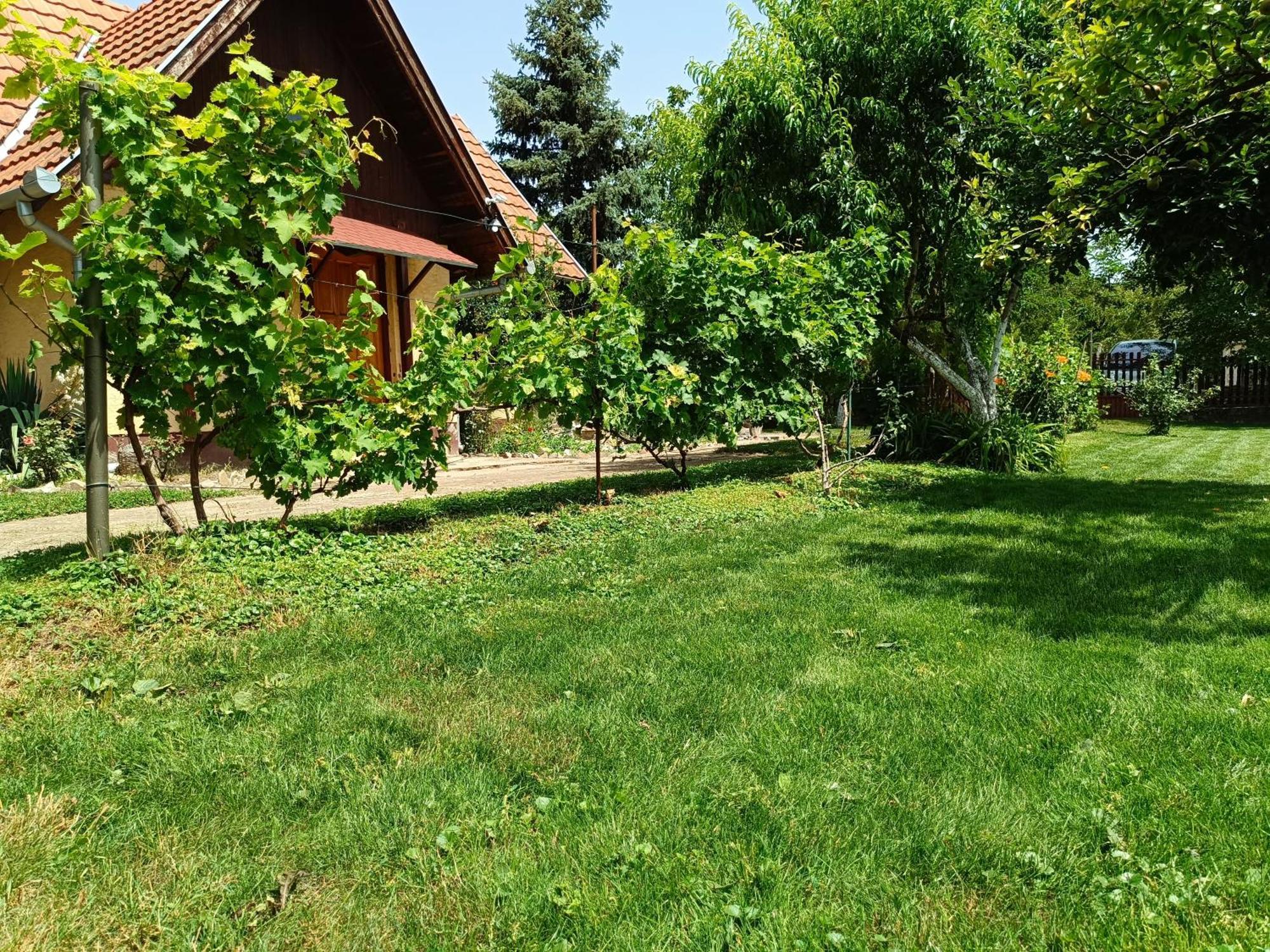 Salas Striber Vrbas