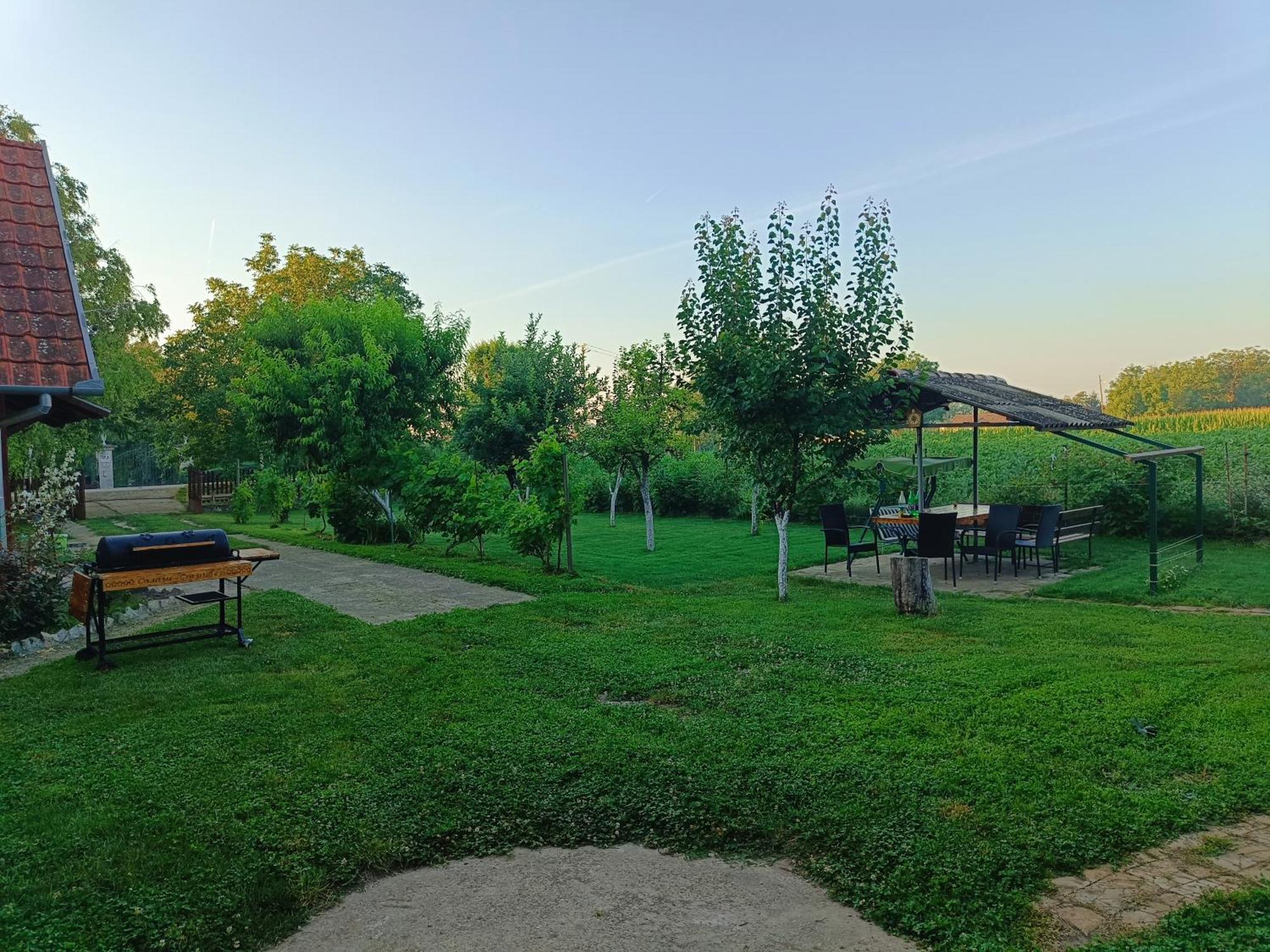 Salas Striber Apartment Vrbas